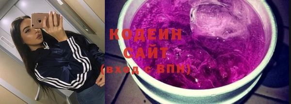 индика Горняк