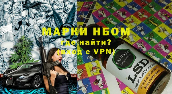 индика Горняк