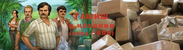 индика Горняк