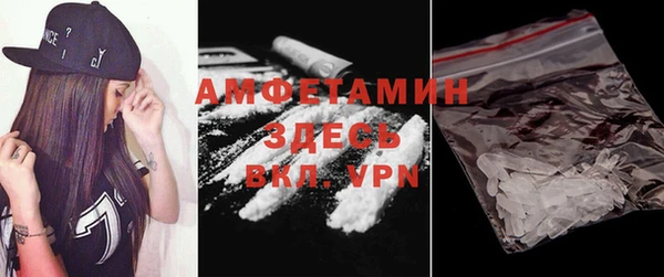 индика Горняк