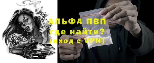 индика Горняк