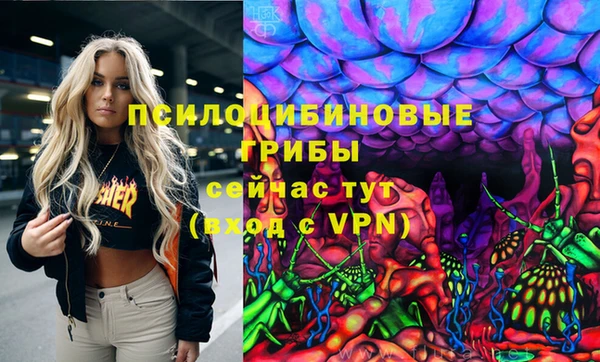 индика Горняк