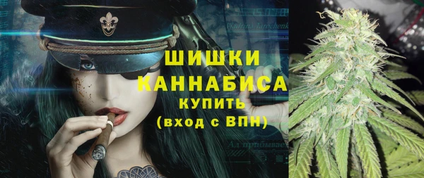 индика Горняк