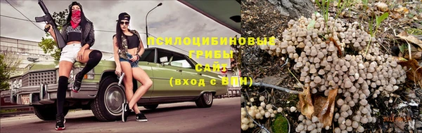 наркотики Горно-Алтайск