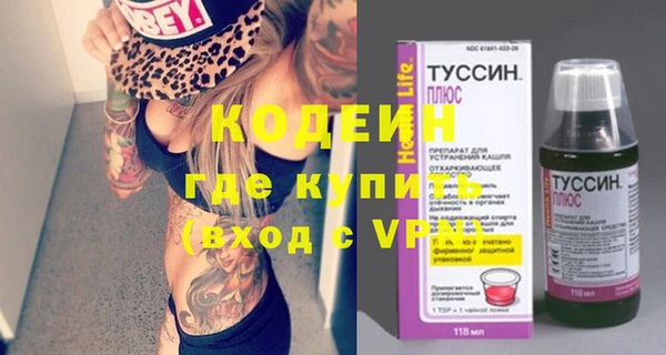 индика Горняк