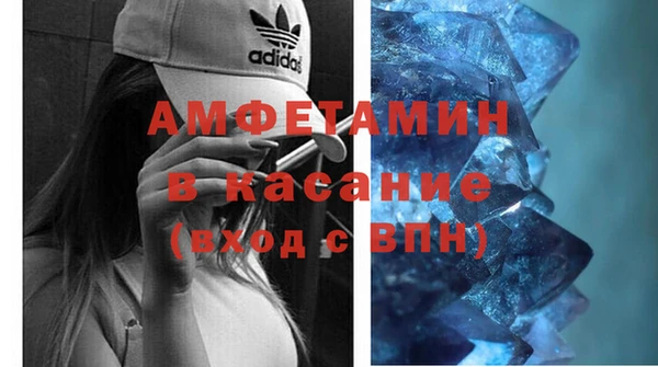 индика Горняк