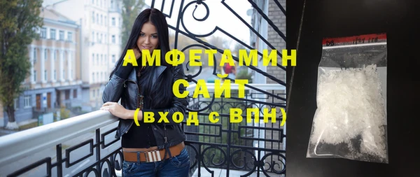 индика Горняк