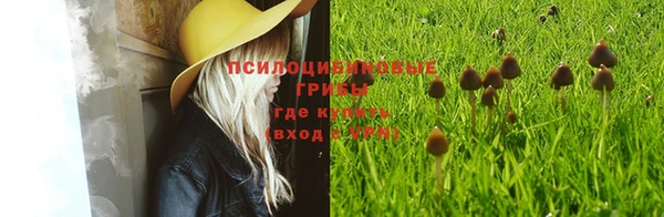 стаф Горнозаводск