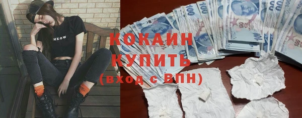 индика Горняк