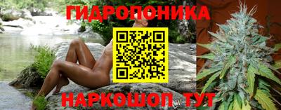 скорость Бийск