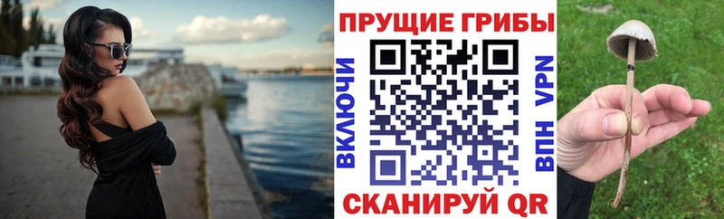 Галлюциногенные грибы Magic Shrooms  Дедовск 
