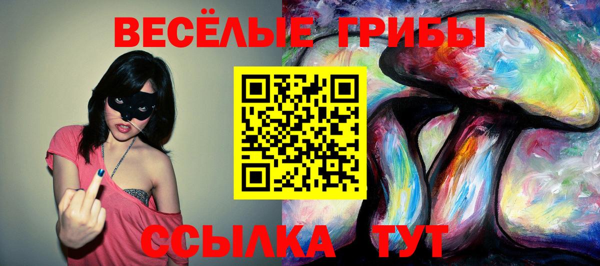 Псилоцибиновые грибы Psilocybine cubensis  магазин продажи   Дедовск 