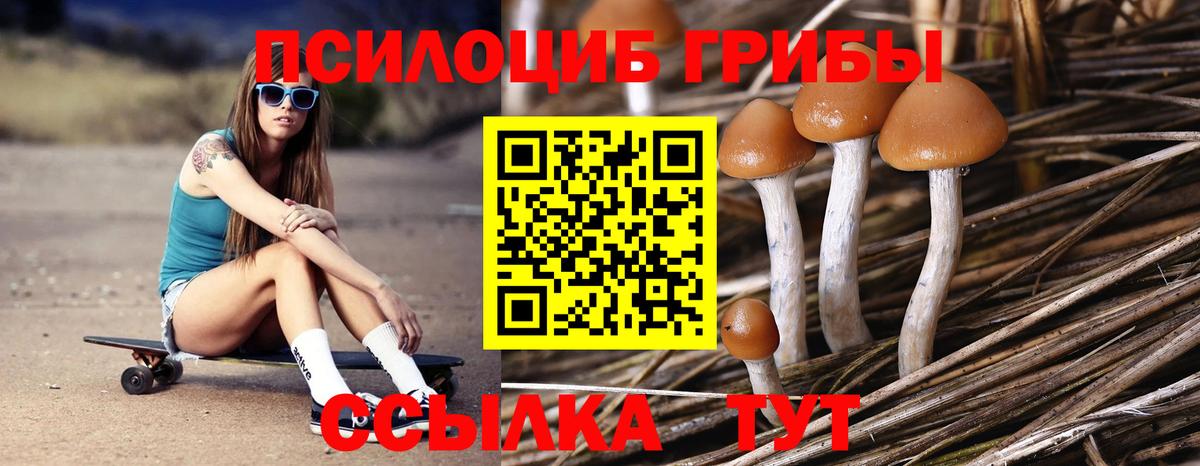 Псилоцибиновые грибы MAGIC MUSHROOMS  Псилоцибиновые грибы Psilocybe  Дедовск  Вход с VPN 