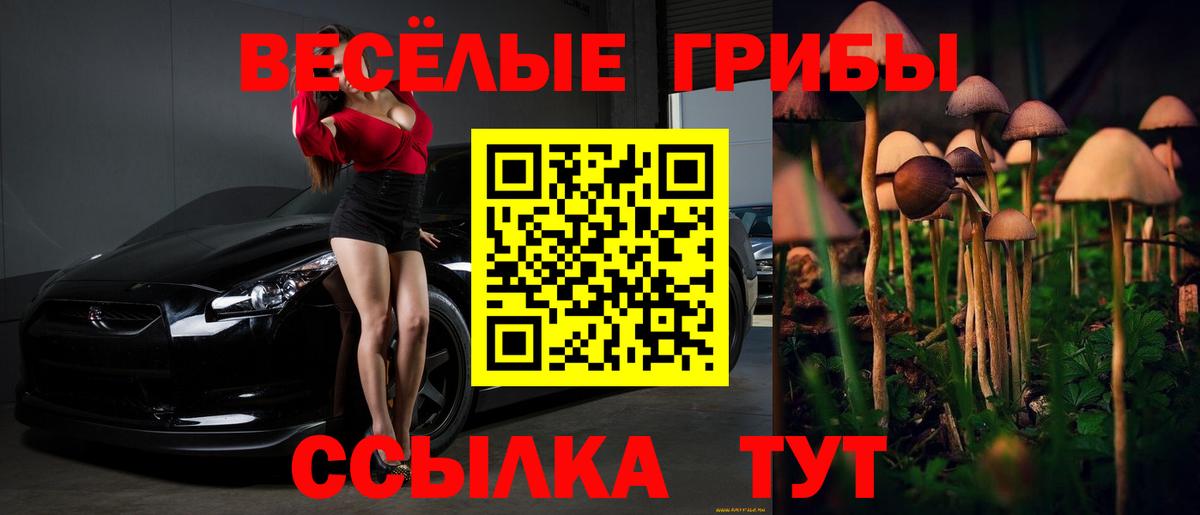 Галлюциногенные грибы Psilocybe Дедовск